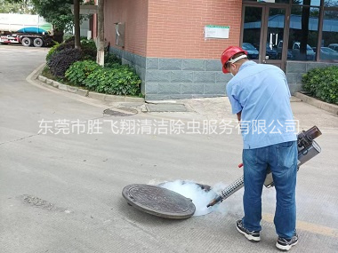 长安杀灭蟑螂蚊蝇工程