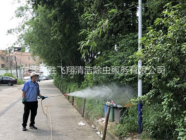 常平登革热防控消杀工程