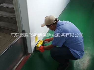 大朗工厂车间室内布置粘鼠板工程